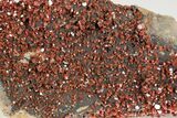 Ruby Red Vanadinite Crystal Cluster - Morocco #196345-2